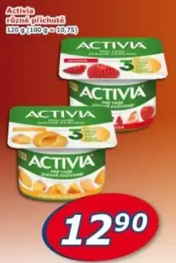 ESO MARKET Activia rozné příchutě nabídka