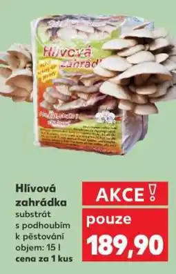 Kaufland Hlíva zahrádka nabídka