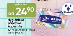 Hruška Hygienické papírové kapesníky nabídka