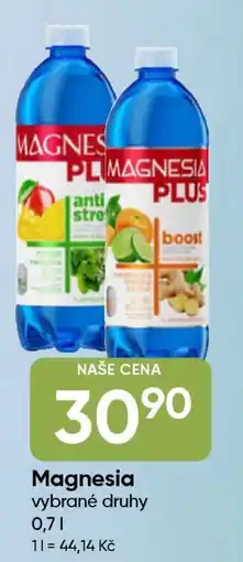 Hruška Magnesia nabídka