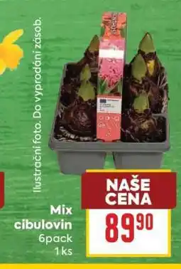 Billa Mix cibulovin nabídka