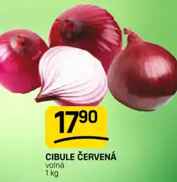 Flop Cibule červená volná nabídka