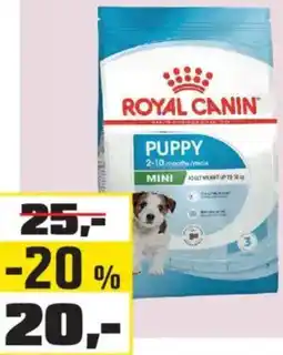 OBI Kapsička pro psy Royal Canin SHN Mini Puppy nabídka