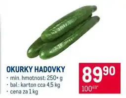 Makro Okurky hadovky nabídka