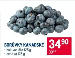 Makro Borůvky kanadské nabídka
