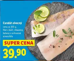 Lidl Candát obecný nabídka