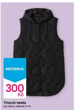 Pepco Tmavá vesta nabídka