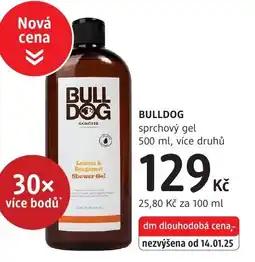 dm drogerie BULLDOG sprchový gel nabídka