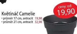Fortel Květináč Camelie nabídka