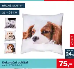 Asko Dekorační polštář nabídka