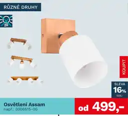 Asko Osvětlení Assam nabídka