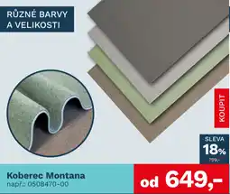 Asko Koberec Montana nabídka