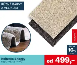 Asko Koberec Shaggy nabídka