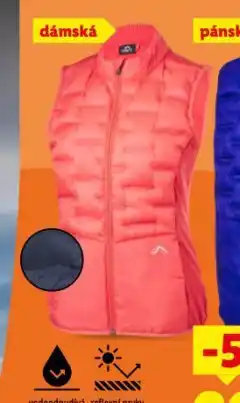 Lidl Dámská funkční vesta nabídka