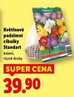Lidl Květinové podzimní cibulky nabídka