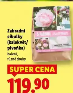 Lidl Zahradní cibulky nabídka
