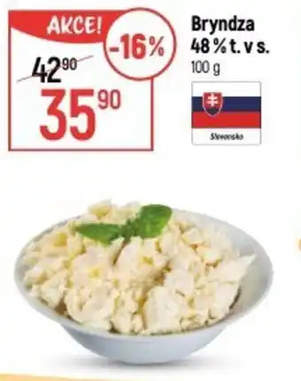 Globus Bryndza 48% t.v.s nabídka
