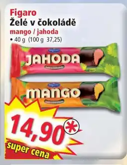 Norma Figaro Želé v čokoládě nabídka