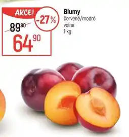 Globus Blumy červené/modré volné nabídka