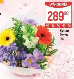 Globus Kytice Petra nabídka
