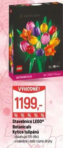 Globus Stavebnice LEGO® Botanicals Kytice tulipánů nabídka