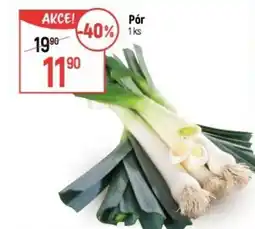 Globus Pór nabídka