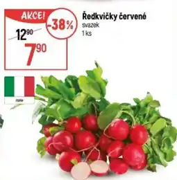 Globus Ředkvičky červené nabídka