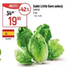 Globus Salát Little Gem zelený nabídka