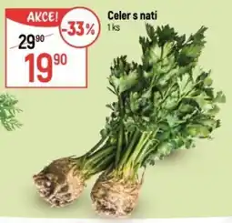 Globus Celer s natí nabídka