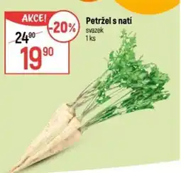 Globus Petržel s natí nabídka