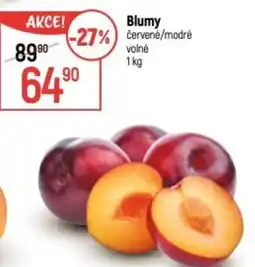 Globus Blumy nabídka