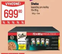 Globus Sheba kapsičky pro kočky nabídka