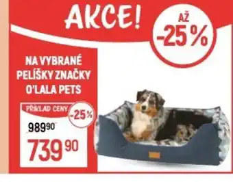 Globus Na vybrané pelíšky značky O'lala pets nabídka