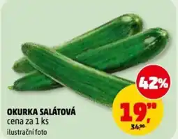 Penny Market Okurka salátová nabídka