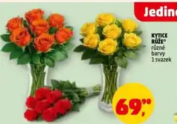 Penny Market Kytice růže nabídka