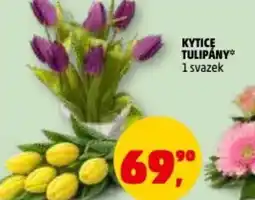 Penny Market Kytice tulipány nabídka