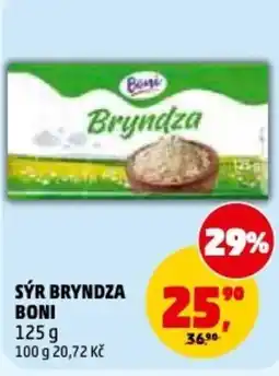 Penny Market Sýr bryndza boni nabídka