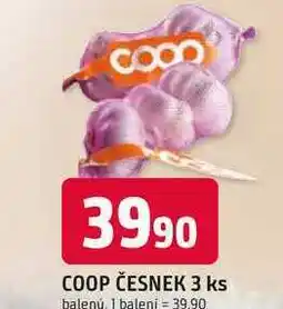 Trefa COOP ČESNEK 3 ks nabídka