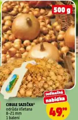 Penny Market Cibule sazečka nabídka