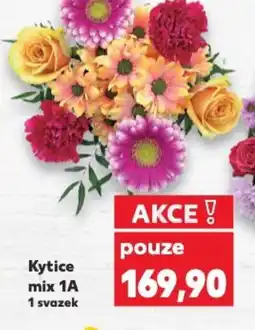 Kaufland Kytice mix 1A nabídka