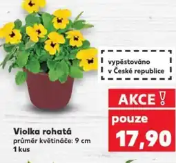 Kaufland Violka rohatá nabídka