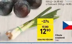 Tesco Cibule svazková nabídka