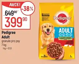 Globus Pedigree Adult nabídka