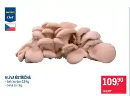 Makro Hlíva ústřičná nabídka