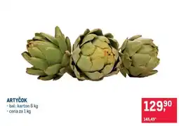 Makro Artyčok nabídka
