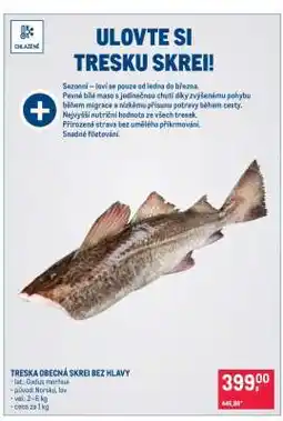 Makro TRESKA OBECNÁ SKREI BEZ HLAVY nabídka