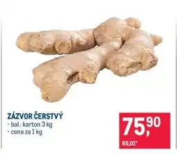 Makro ZÁZVOR ČERSTVÝ nabídka