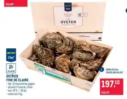 Makro Ústřice Fine de Claire nabídka