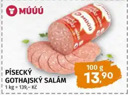 Terno Písecký gothajský salám nabídka