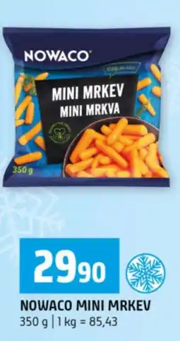 Terno NOWACO MINI MRKEV nabídka